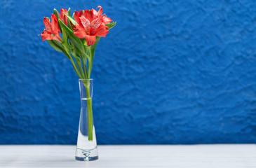 Red flowers on a white wooden background. Greeting card for February 14., march 8. Close-up with space for text. Love concept