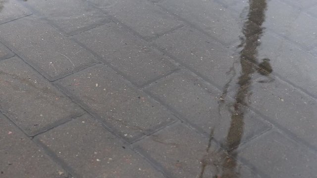 Raindrops in puddles on paving slabs on a gray rainy day
