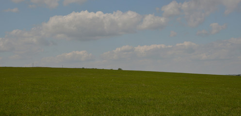 beautiful fields on the slopes of the mountains in summer