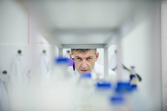 Laboratory scientist researching chemical compositions