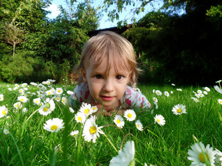 a small and beautiful girl on a meadow full of flowers - obrazy, fototapety, plakaty