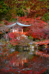 Naklejka premium Daigo-ji temple with colorful maple in autumn, Kyoto, Japan