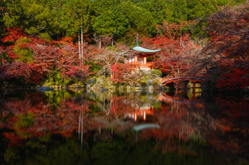 Naklejka premium Świątynia Daigo-ji z kolorowym klonem jesienią, Kioto, Japonia