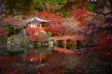 Daigo-ji temple with colorful maple  in autumn, Kyoto, Japan
