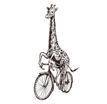 Giraffe bike deals