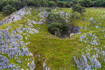 Aerial View, Pit Cave - Torca, Islares, Castro Municipality, The Way of Saint James, Cantabrian Sea, Cantabria, Spain, Europe