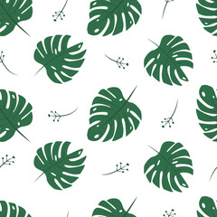 Fototapeta na wymiar Green leaves of monstera on a white background. Seamless pattern background with tropic floral elements on white backdrop.