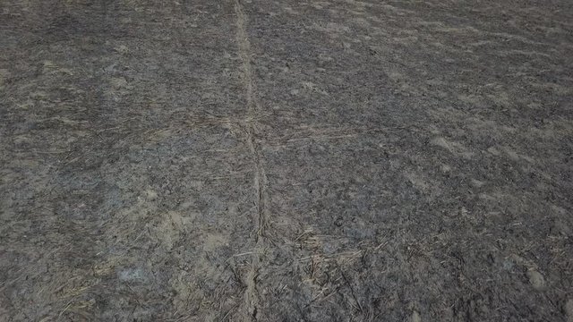 Constructed earth with wheel marks. The consequences of a fire. Ecological disaster on earth. The protection of natural resources. The extermination of living beings. Climate warming. Campfire popel.