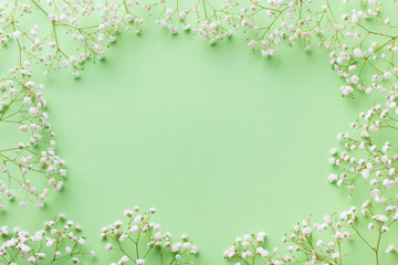 Fototapeta na wymiar Frame of white flowers, gypsophila, Baby's Breath. Flat lay composition. Pastel green background. Top view. Copy space.