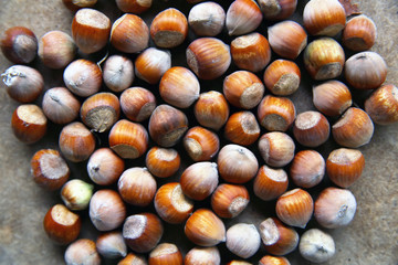 fresh hazelnuts on wooden table . Group of hazelnuts on wooden background closeup . Close up of hazelnuts on wooden table .