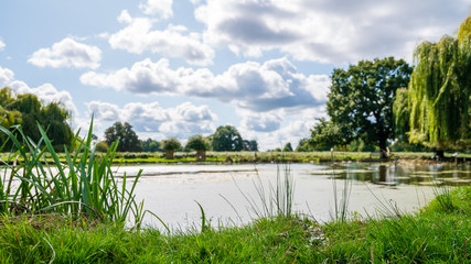 Grass at the edge of a pond, with background and sky intentionally blurred, in England