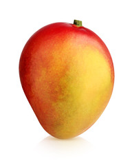 mango isolated on a white background.