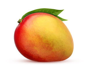 one mango with leaves isolated on a white background.