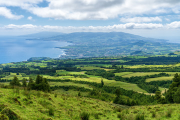 Lush vibrant rural countryside with pastures and meadows