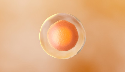 Human cell or Embryonic stem cell, 3d rendering