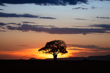 Fototapeta na wymiar Golden Sunset in Kenya Africa