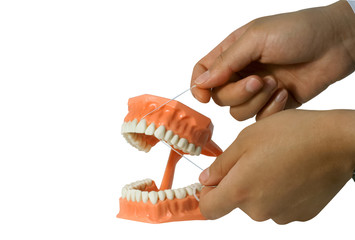 Dentist flossing denture