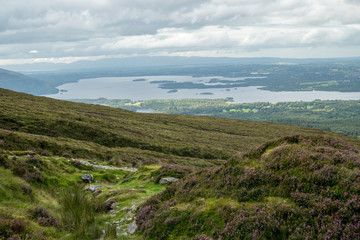 Fototapeta premium Paysage Killarney national park #1