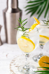 Gin tonic cocktail with lemon