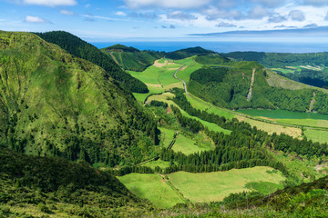 Lush vibrant rural countryside with pastures and meadows