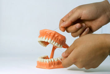 Dentist flossing denture