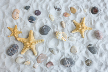 White beach sand with seashall, starfish and color stones