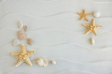 Summer sea shell photo frame