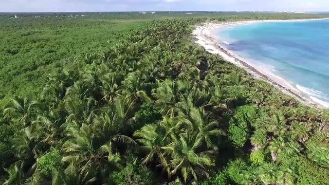Teh beach at Tulum, Mexico at a sunny evening by drone.