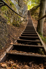 Old metal staircase in forest as a part of hike in Bled