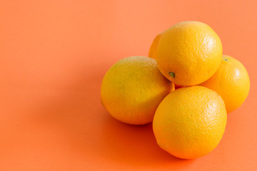 Group of fresh oranges on the coral orange background.