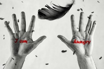Male hands with red lettering `I am` `hungry`reach for black bird feather. Symbol of Humanitarian...