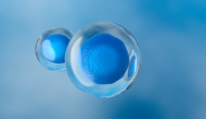 Human cell or Embryonic stem cell, 3d rendering