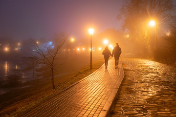  Magical evening light walk in the fog. - 314562275