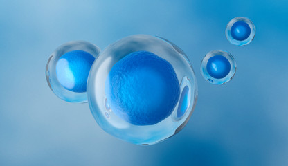 Human cell or Embryonic stem cell, 3d rendering