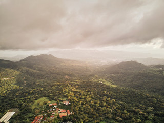 Big coffee farm on green mountain valley