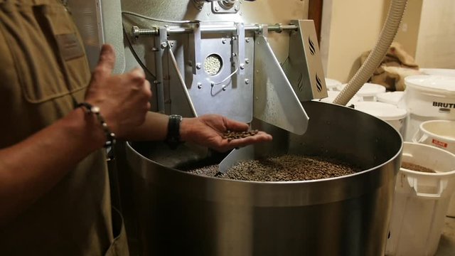 HEBER, UT, UNITED STATES, OCTOBER 10, 2019: Coffee machine worker is standing near roasting machine. Slow motion shot as man holds several coffee beans near the rotating roaster and explains something