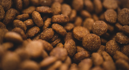 Dog croquette food macro close up
