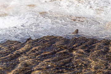 Small Creek With Ice on Bank