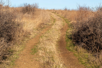 Wavy S Shaped Dirt Road on Sunny Day