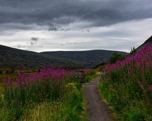 Scotland scenery