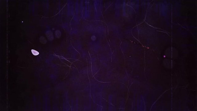 Vintage grunge video with dust grain texture overlay effects for film with space for text or image