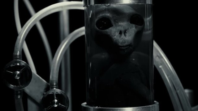 Alien in cylindrical glass vessels (flasks), in a liquid with air supply (bubbles), similar to a laboratory for experiments, similar to mutants, close-up, creepy