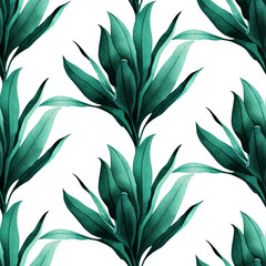 Tropical seamless pattern with exotic green Ti leaves on white background.