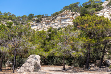 Landscape with green trees an hill with rocks nearby beach Akra Fourni at Rhodes island