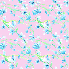 Seamless pattern with blue spring flower on a  rose background. Stock illustration. Hand painted  in watercolor.