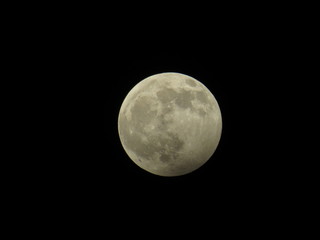 Beautiful wolf moon in the sky