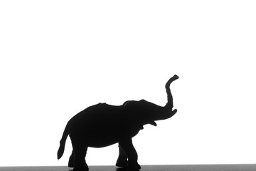 Black silhouette of an elephant on a white background.