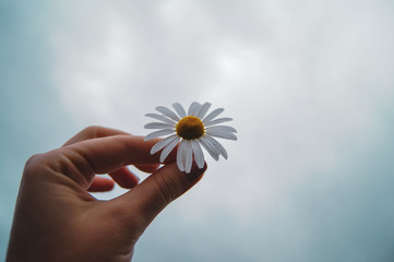 flower in hand