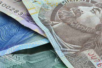 Polish banknote