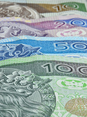 Polish banknote